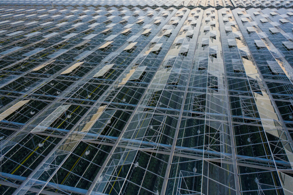 aerial-top-view-of-greenhouse-plant