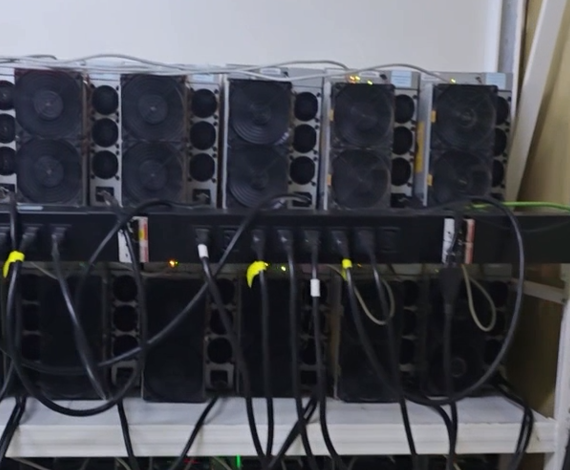 hosting-mining-video-3