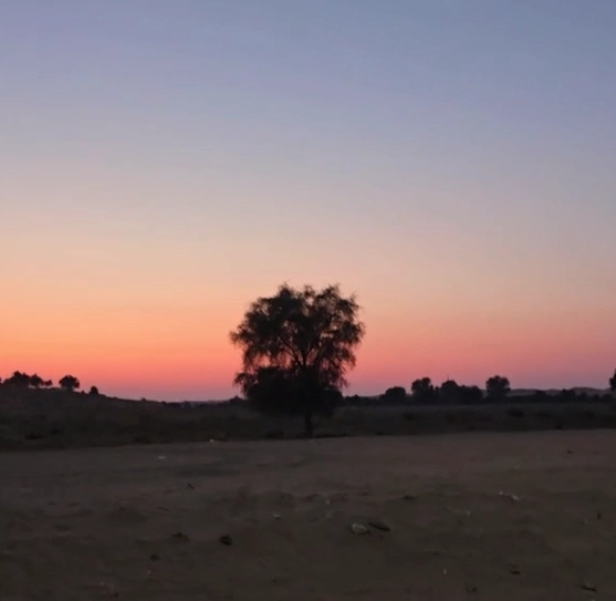 Erfolgreiche rechenzentrums- und mining-installationen von CryptoLogistic