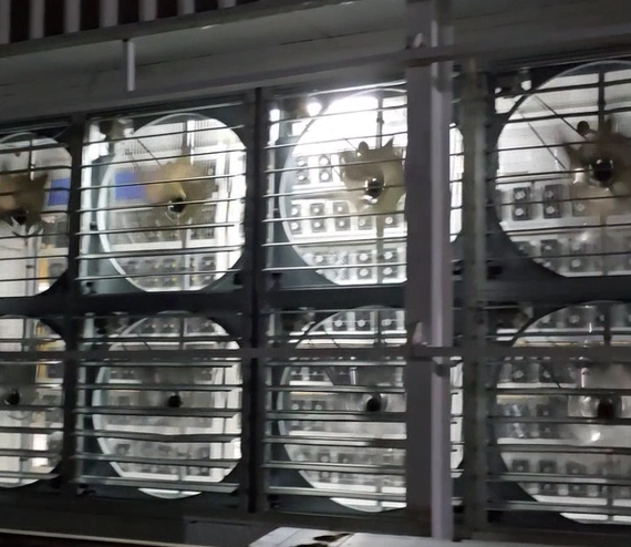 Successful crypto mining projects completed by CryptoLogistic